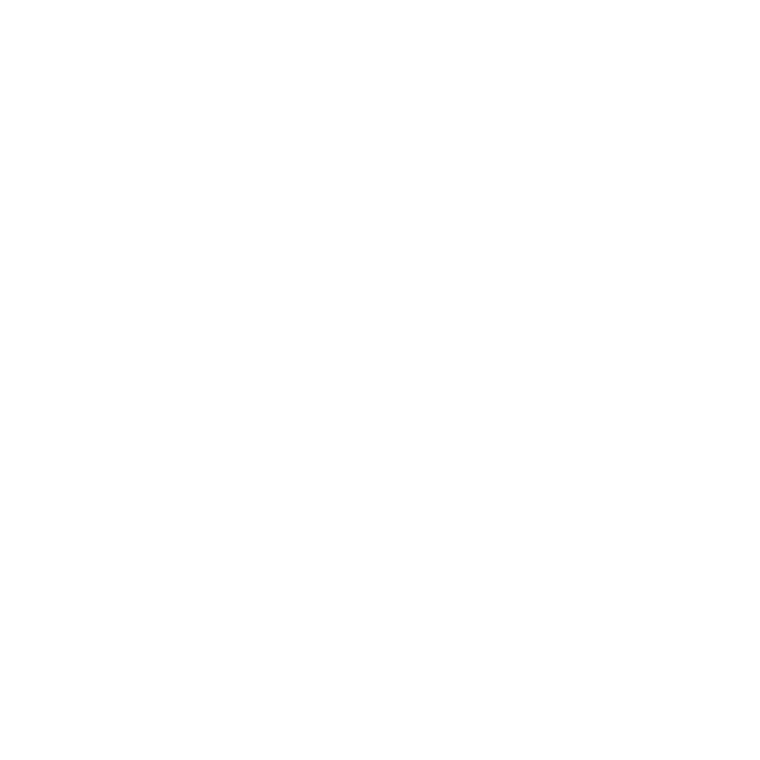 logo-white